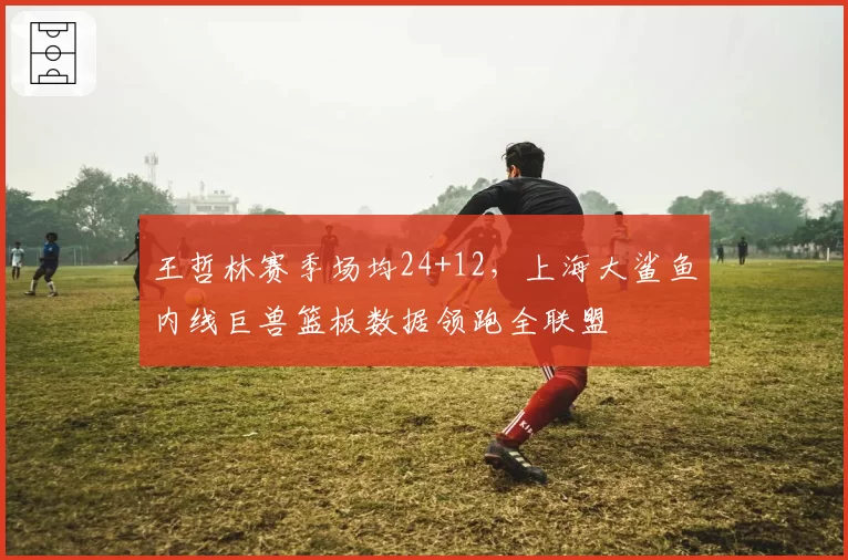 王哲林赛季场均24+12，上海大鲨鱼内线巨兽篮板数据领跑全联盟