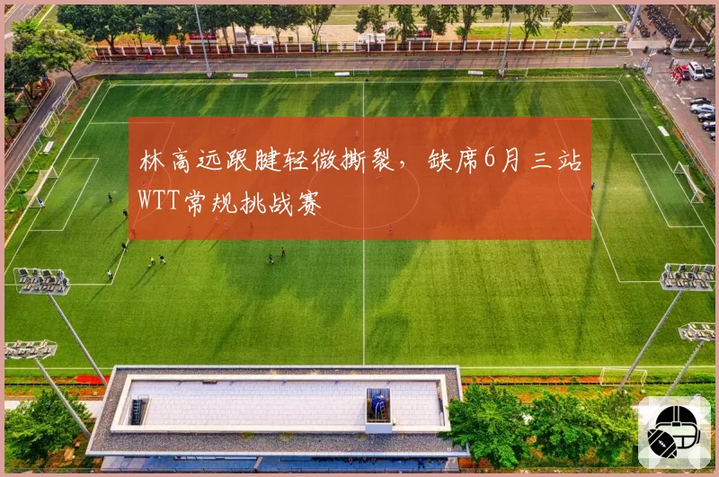 林高远跟腱轻微撕裂,缺席6月三站WTT常规挑战赛