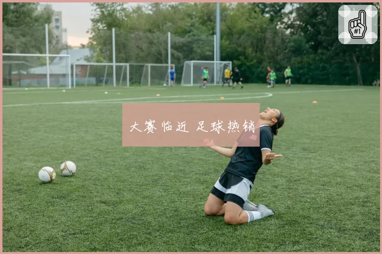 大赛临近 足球热销